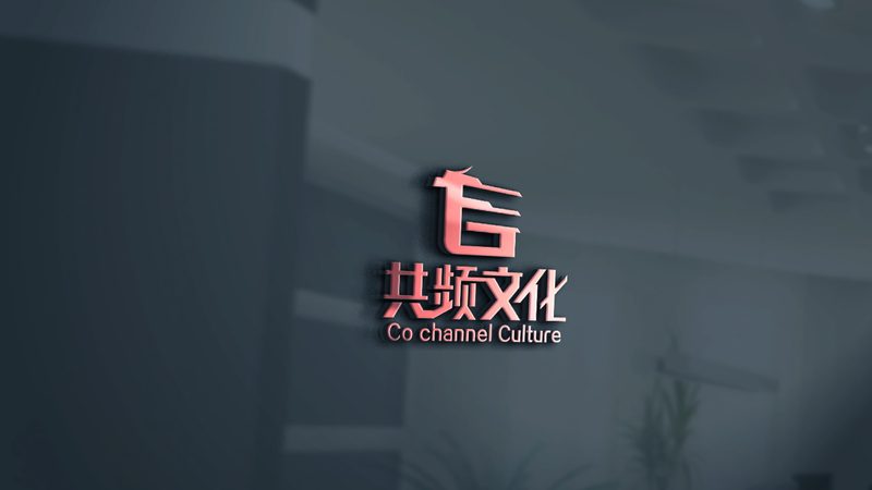 定制化拍摄设备配置：揭秘背后的技术逻辑与行业趋势