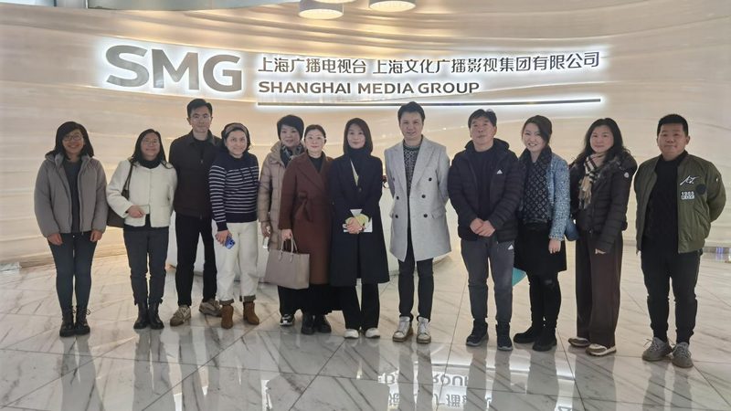 mg动画公司品牌排行榜背后的行业洞察