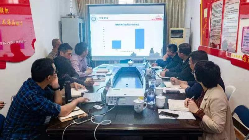 媒介投放策略：规避误区，精准触达**